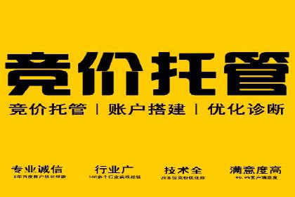 SEM竞价广告优化全攻略：经典案例解析
